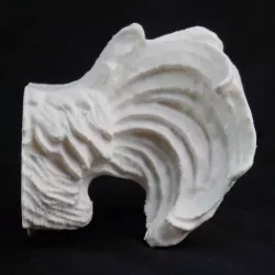 Animal Behinds : Rooster - Fridge Magnets