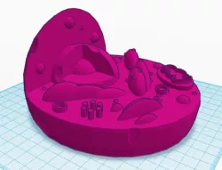 Animal Cell Model