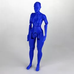 Articulated Figure - No Support