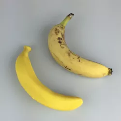 Banana For Scale