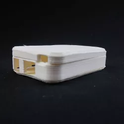 BEAGLE BONE Case