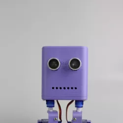 Bob the Biped Robot