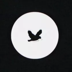 Bokeh filter - Bird