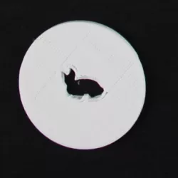 Bokeh filter - Rabbit