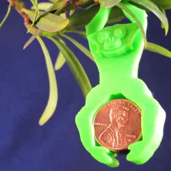 Bonsai Gibbon