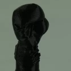 boxing trophy