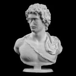 Bust of a Young Man at The Metropolitan Museum of Art, New York