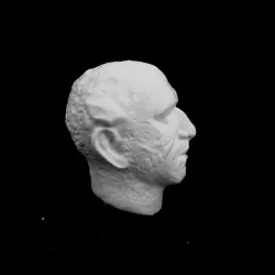 Bust of Professor Lord Zuckerman at The Sainsbury Centre for Visual Arts, Norwich