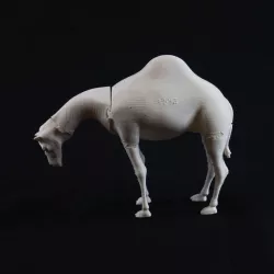 Camel - Braille Animal Puzzle
