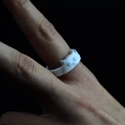 Cat Ring