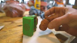 Drop an F-Bomb (Seed Bomb)