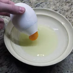 Egg Seperator