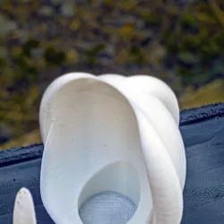 Egg Vase for small plants.