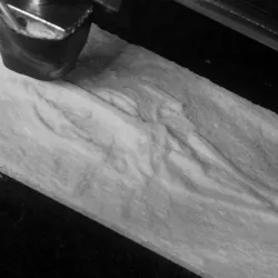 Fossil Whale Optimized for Desktop 3D Printing