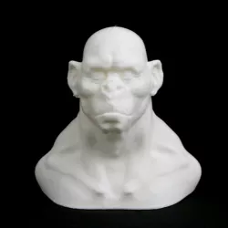 Gorilla bust