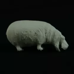Hippo 3D Model