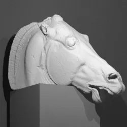 Horse Head Without Chariot - Elgin Marble at The British Museum, London