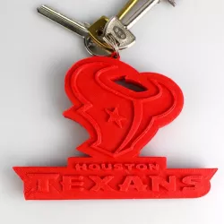 Houston Texans Logo
