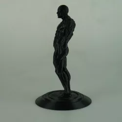 human figure MALE