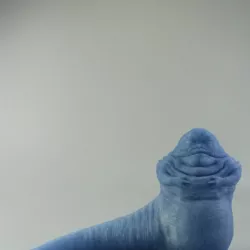 Jabba the Hutt