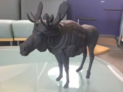 Moose