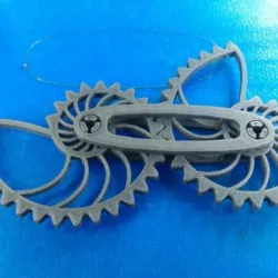 Nautilus Gears