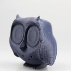 owl