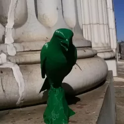 Pigeon Scarers - Hawk
