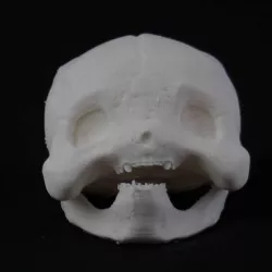 Pikachu Pokéskull - Pokemon