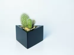 Prisma planter