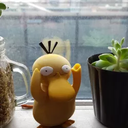 Psyduck - Pokemon