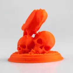 Raven Skull