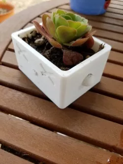 Robot Head Mini-Planter