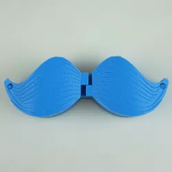 Secret Stache