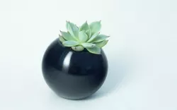 Sfera planter