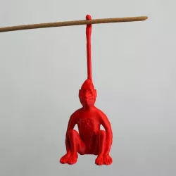 Spider Monkey - Fridas Pet