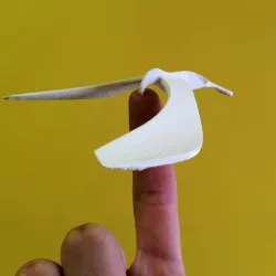 Spinning Balancing Bird