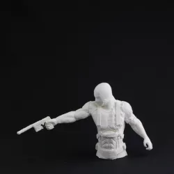 spy bust