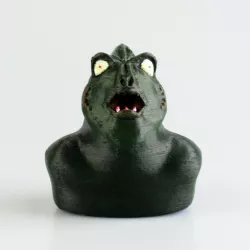 Swamp Boy