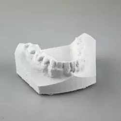 Teeth