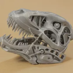 Terminator REX