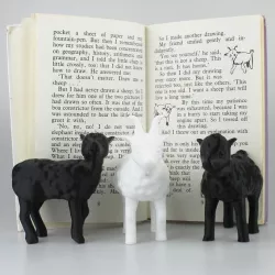 The Little Prince - 'Draw me a sheep...'