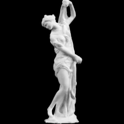 The Venus Callipyge at The Louvre, Paris