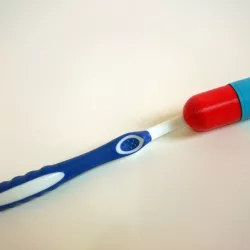 Toothbrush Cover