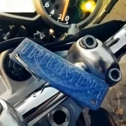 Triumph logo