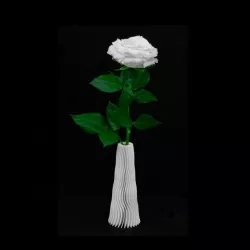 Twisted Vase "Laura"