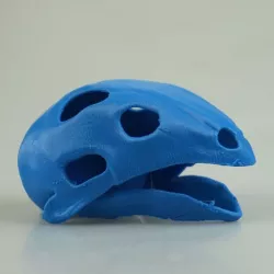 Typhlosion Pokéskull - Pokemon
