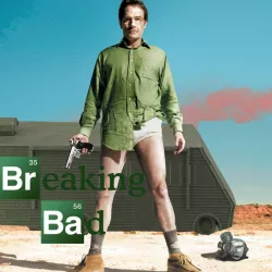 Van- Breaking Bad