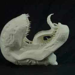 Venom Head