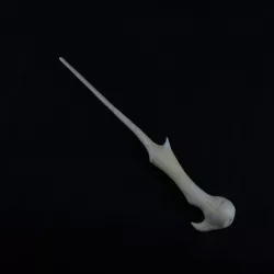 Voldemort's Wand